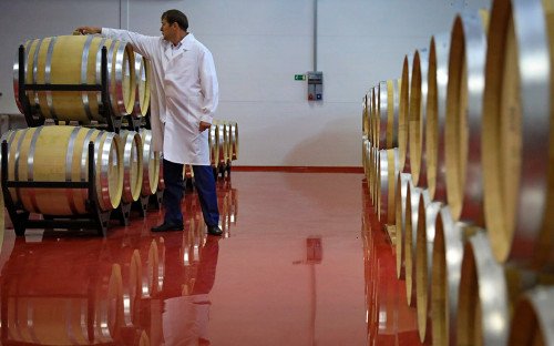 «Абрау-Дюрсо» стал совладельцем одного из крупнейших виноградников Куб